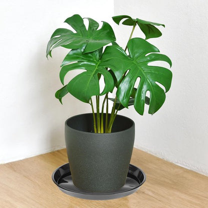 Plant bowls - 6 pieces - Round plant bowls - For flower pots, garden bowls and planters - Black - Image 4