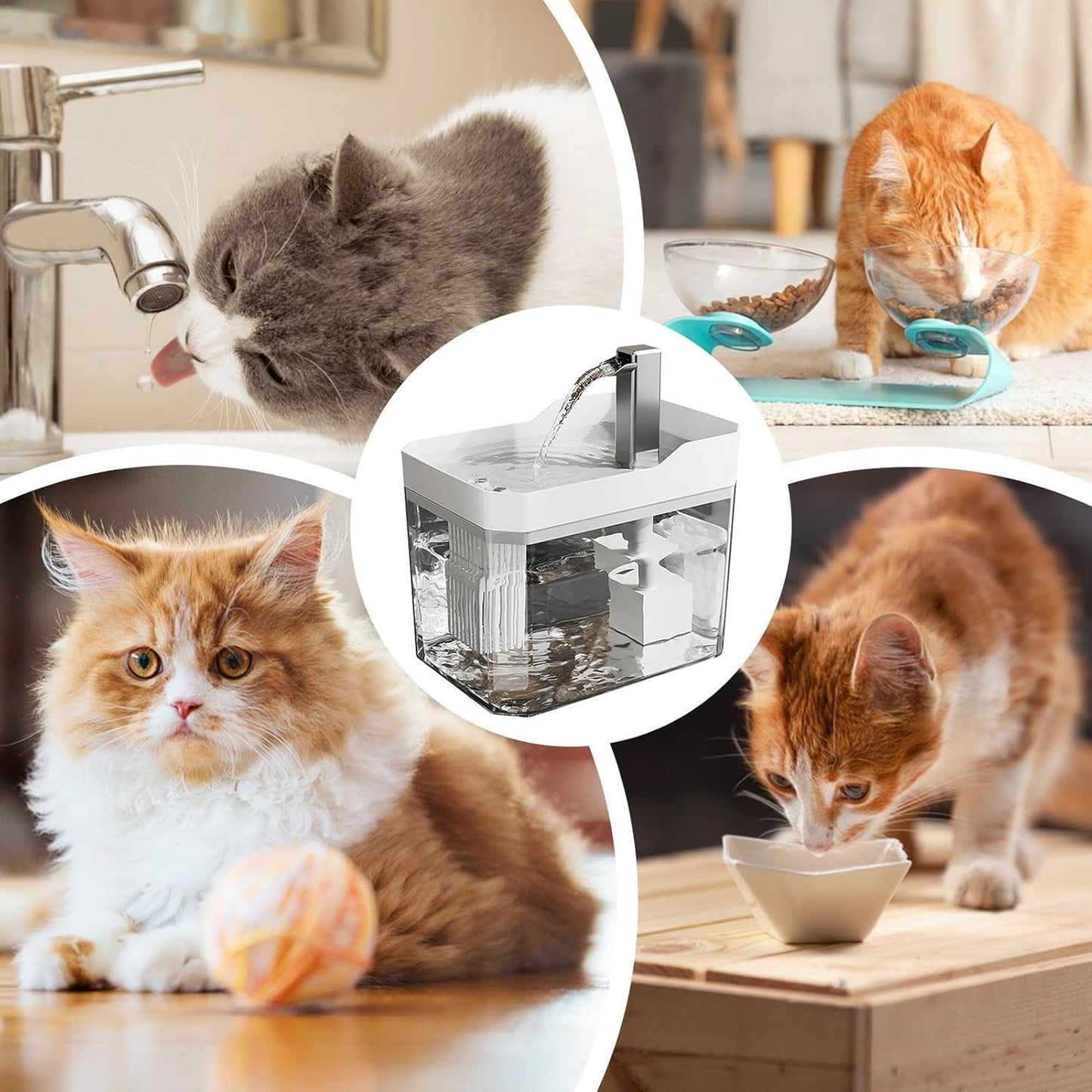 Pet Drinking Fountain - Large Capacity - Removable - 1pc - Image 3
