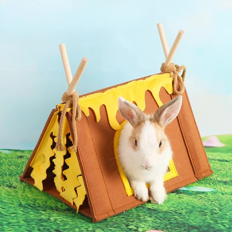 Guinea Pig Bed - Durable and Sturdy - Comfortable - Mini - Well Made - Brown - 1st - Image 4