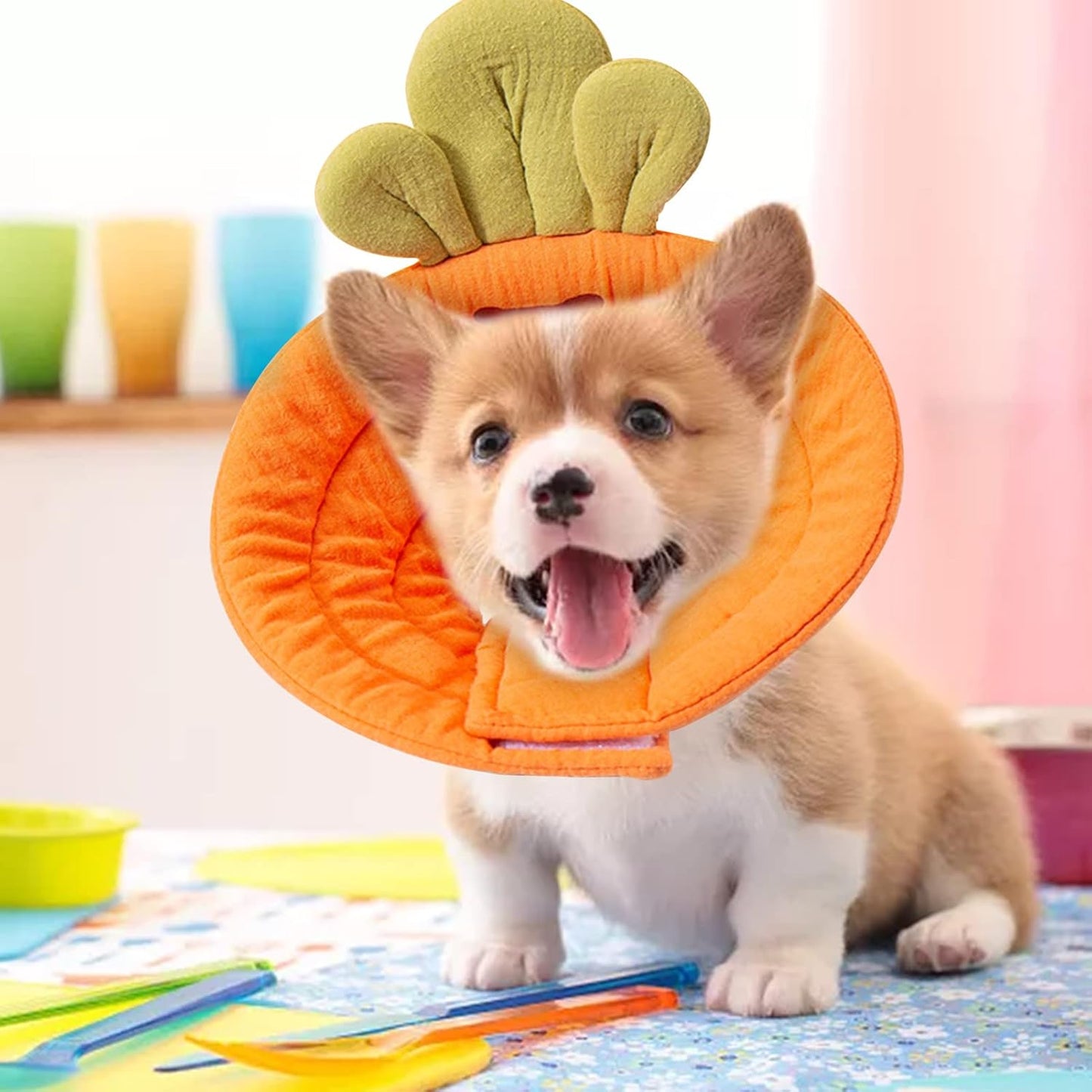 Pet Cone Collar - Soft - Prevents Licking and Biting - Carrot - Small - 1st - Image 3