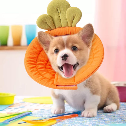 Pet Cone Collar - Soft - Prevents Licking and Biting - Carrot - Small - 1st - Image 3