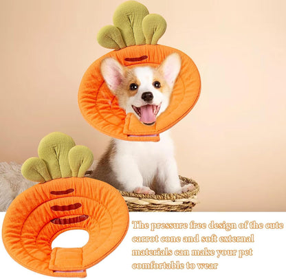 Pet Cone Collar - Soft - Prevents Licking and Biting - Carrot - Small - 1st - Image 5