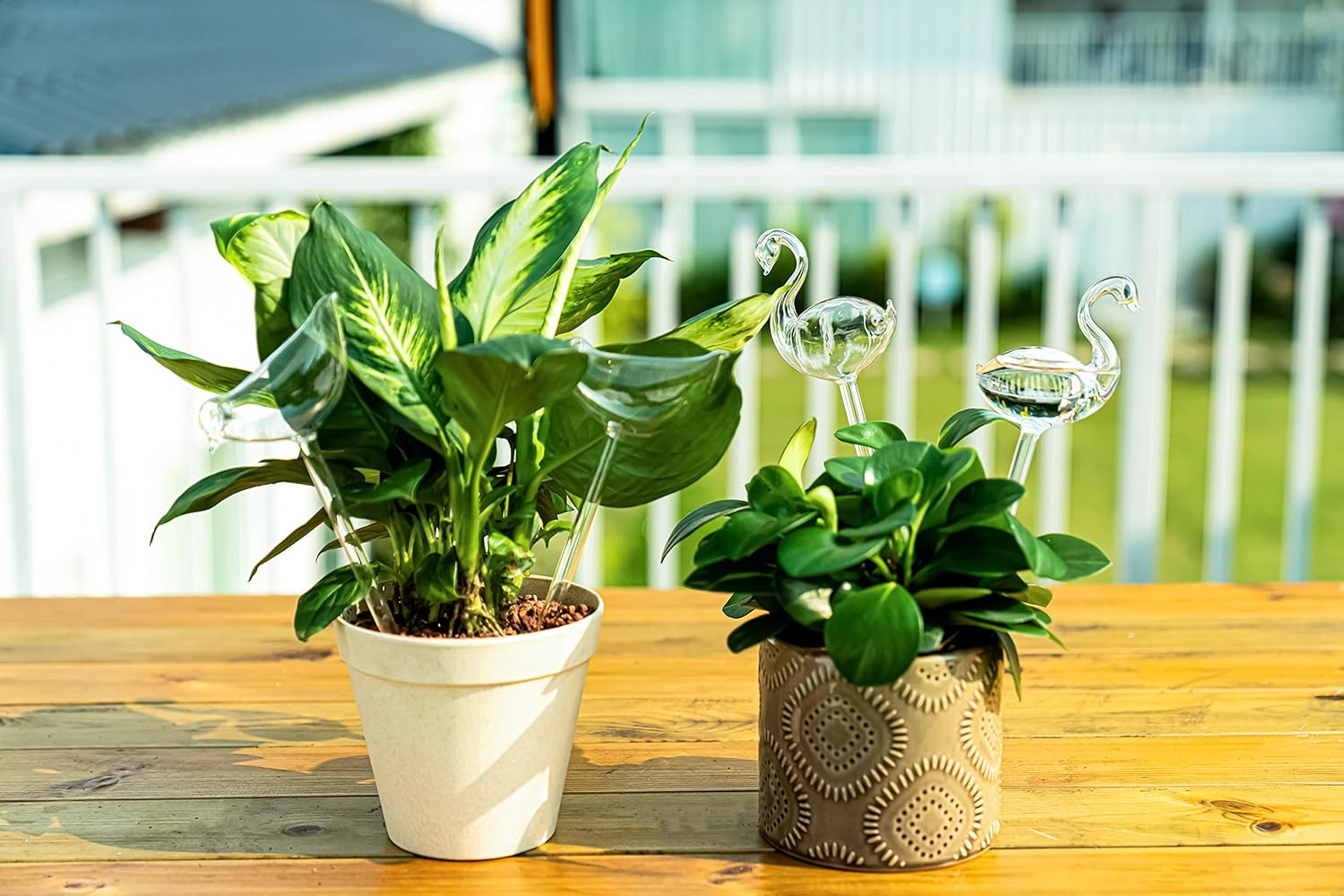 Self-watering globes, bird-shaped plant watering device, hand-blown, clear glass globe for indoor and outdoor plants, pack of 2 - Image 5