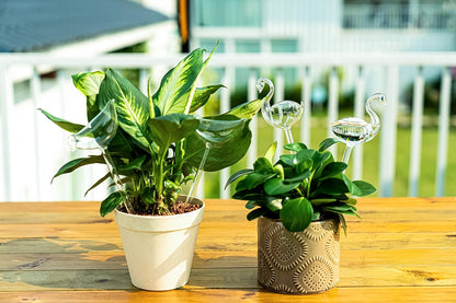 Self-watering globes, bird-shaped plant watering device, hand-blown, clear glass globe for indoor and outdoor plants, pack of 2 - Image 5