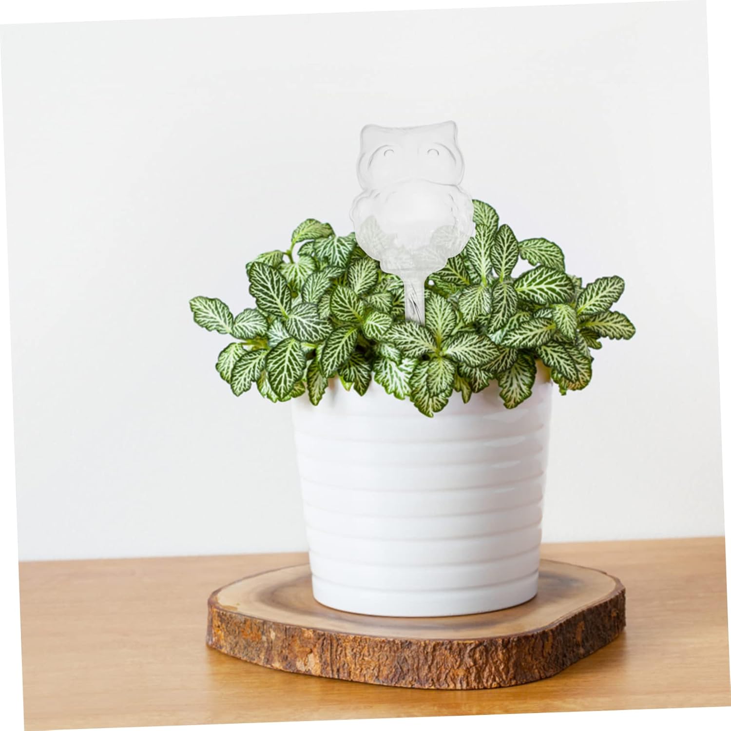 Automatic watering devices for indoor houseplants, live plants, watering spikes, glass watering balls, plastic flower pot, automatic watering devices for plants, travel PVC, The Lazy Flowers - Image 2