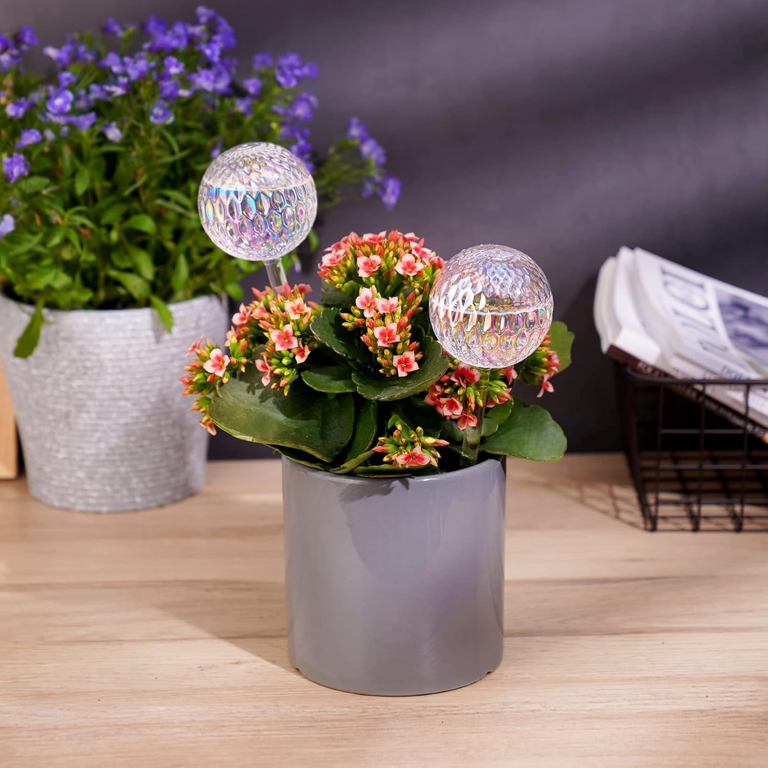 Glass Self-Watering Plant Balls, 2-Pack, Pearlescent, Clear Iridescent, Plant Watering Device, Diamond Pattern, Self-Watering Balls, Planter Insert, Decorative Holiday Watering Spikes - Image 2