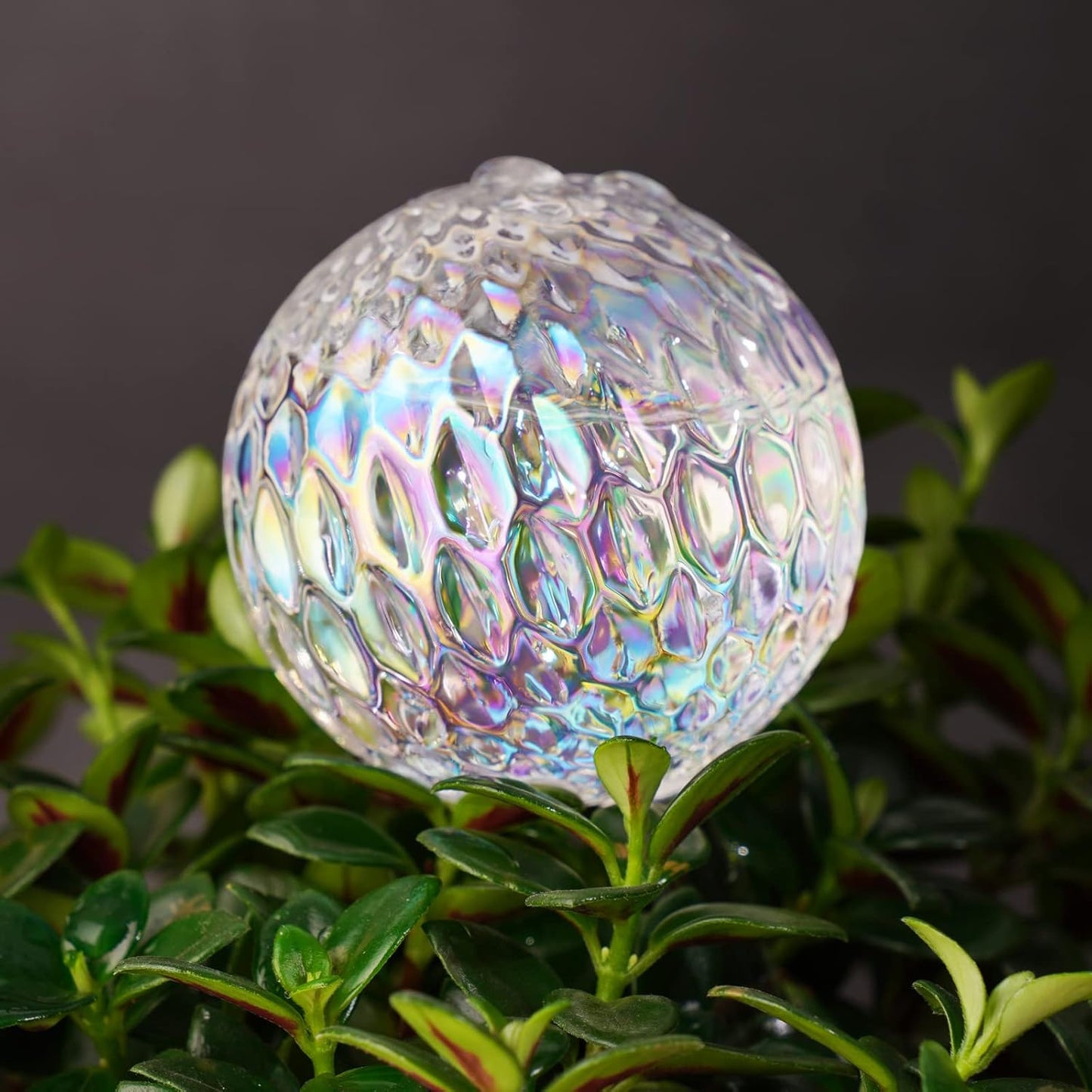 Glass Self-Watering Plant Balls, 2-Pack, Pearlescent, Clear Iridescent, Plant Watering Device, Diamond Pattern, Self-Watering Balls, Planter Insert, Decorative Holiday Watering Spikes - Image 4