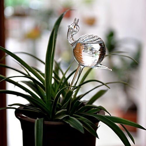 snail-shaped hand-blown clear glass self-watering sustainable mini transparent plant watering pot - Image 2