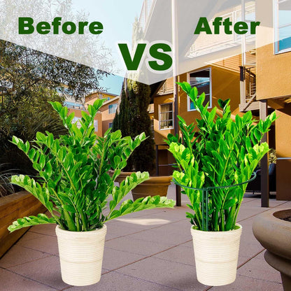 Plant Support Poles, 6-Pack Metal Peony Cages and Supports, Plant Support Cage for Garden Poles, Large Plant Support Ring for Outdoor and Indoor Use, Snake Plant, Peony, Flower Tendril (25cm W x 40cm H) - Image 5