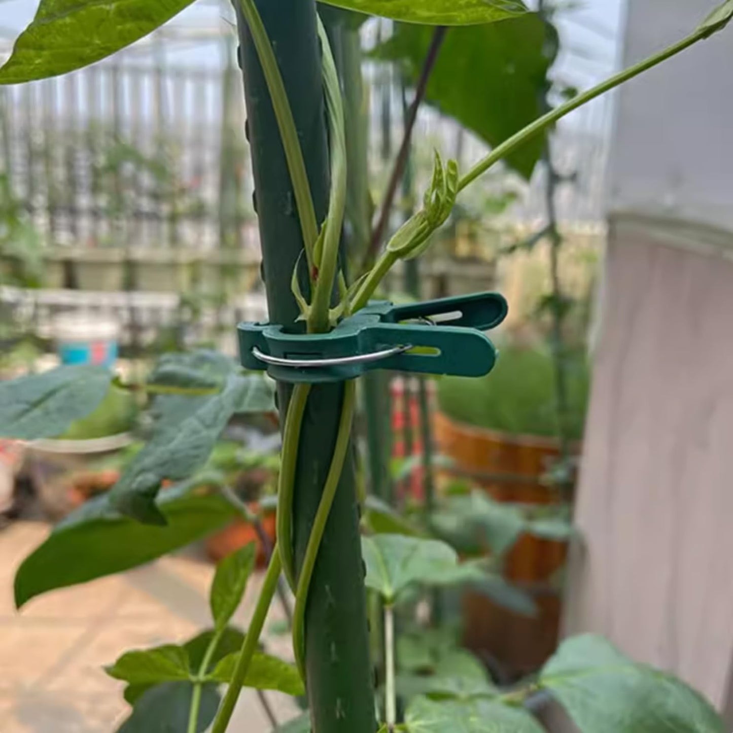 40 pieces plant clips, garden clips, plant clips, reusable tomato clips, multifunctional rattan plant clips, rose clips, sturdy cucumber clips, orchid clips, plant support, adjustable clips, green (20 large and 20 small) - Image 5