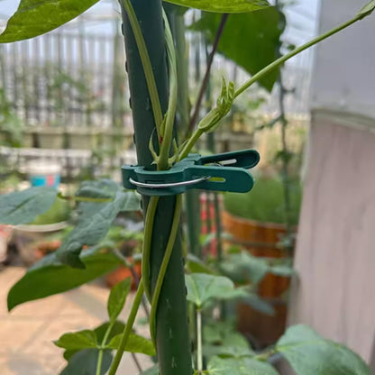 40 pieces plant clips, garden clips, plant clips, reusable tomato clips, multifunctional rattan plant clips, rose clips, sturdy cucumber clips, orchid clips, plant support, adjustable clips, green (20 large and 20 small) - Image 5