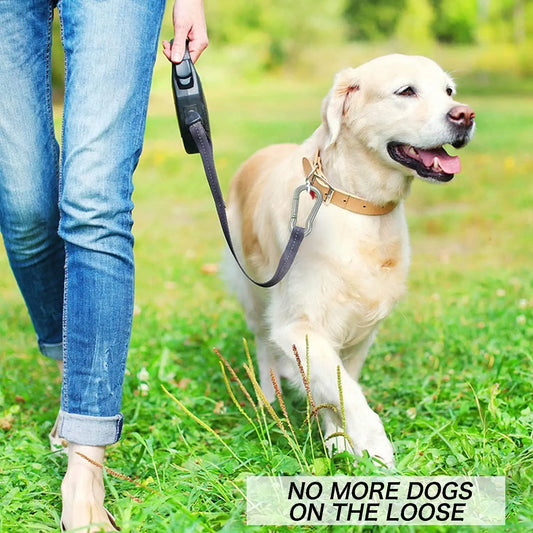 Buckle - M6 buckle - Suitable for hiking, camping, fishing, dog leashes, etc. - 60mm - Can bear 70kg - 10 pieces (not suitable for climbing) - Image 2