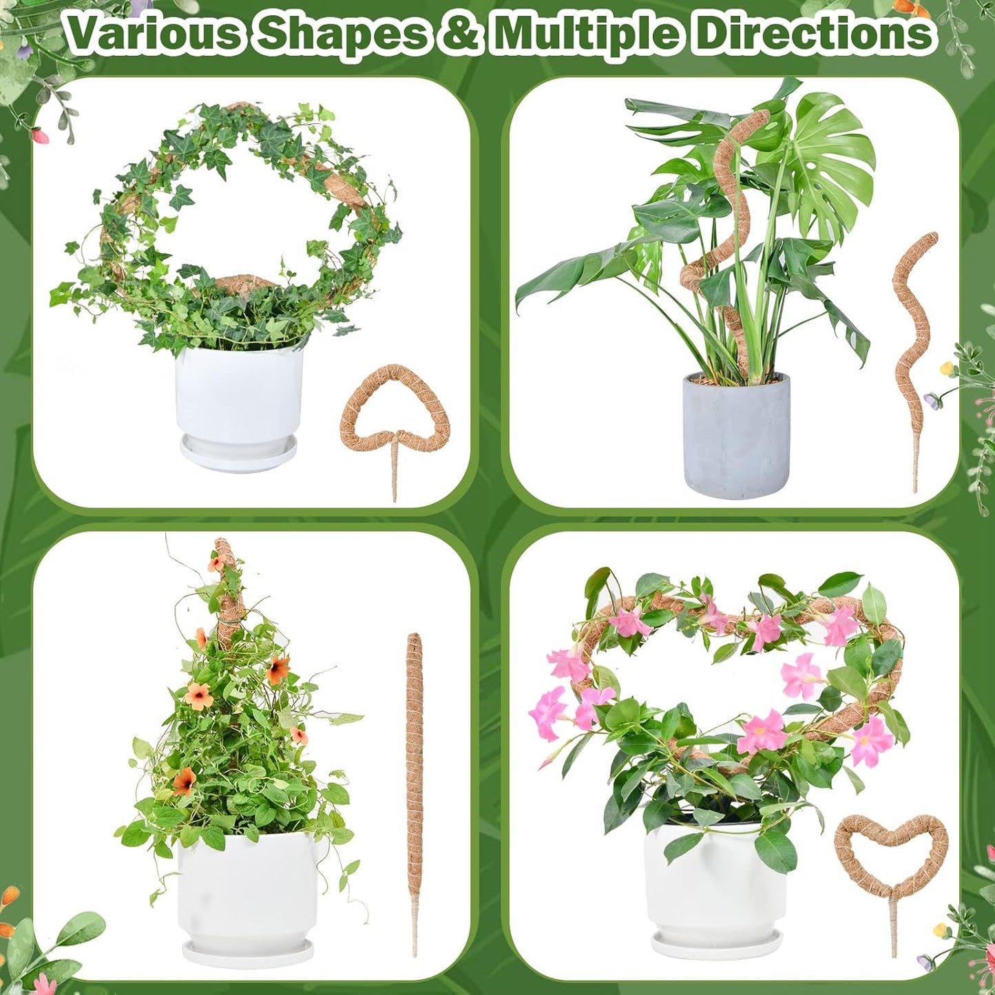 Flexible Plant Support for Climbing Plants - 60 cm Set of 2 - For Houseplants - Image 2