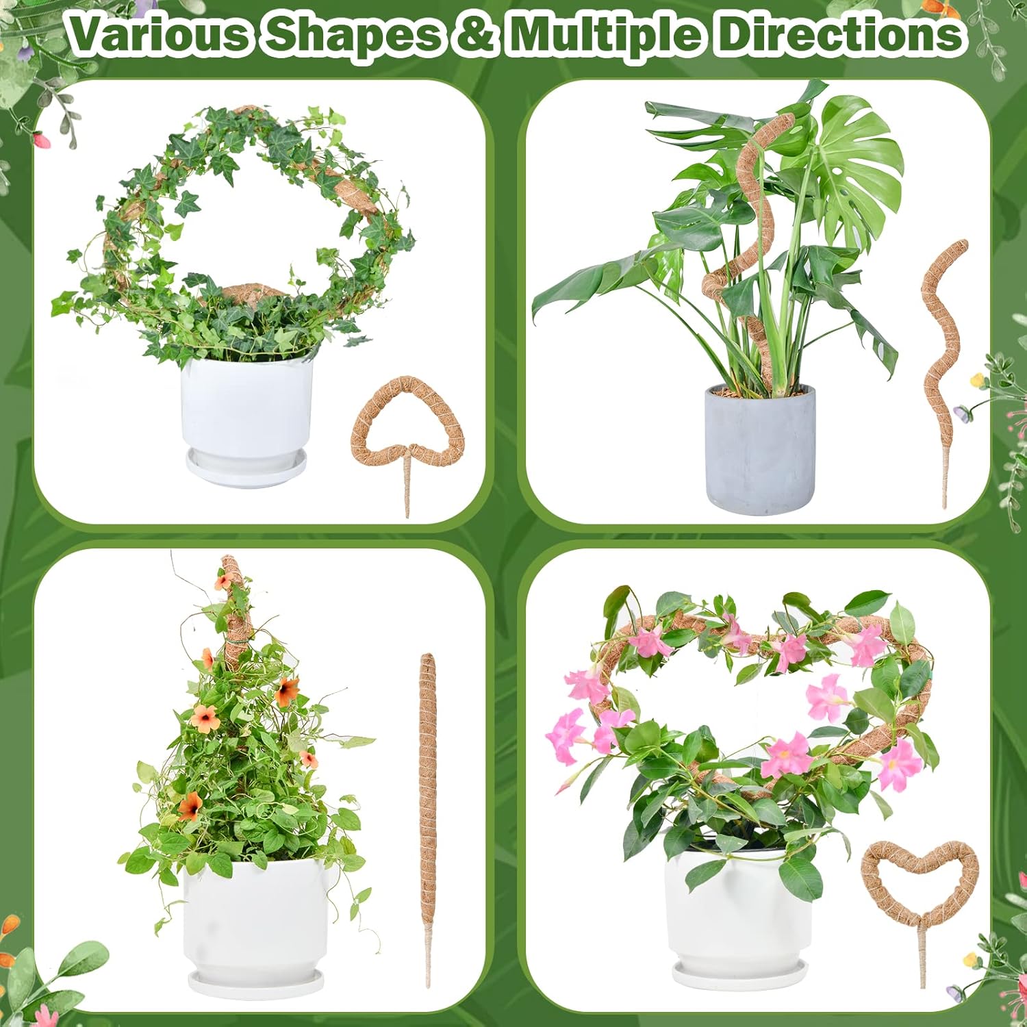Flexible Plant Support for Climbing Plants - 60 cm Set of 2 - For Houseplants - Image 2