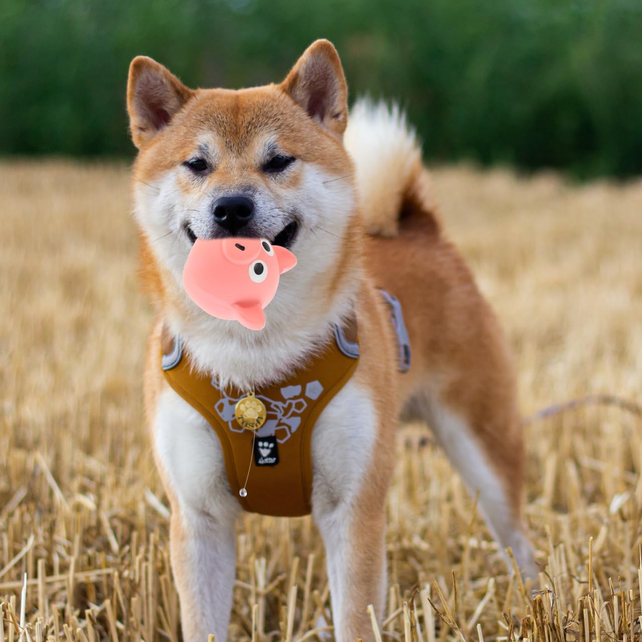 Interactive Dog Toy - Squeaky Pig Chew Toy - Beneficial for dogs and puppies - Makes playtime more fun for pets - Makes a purring sound - Image 2