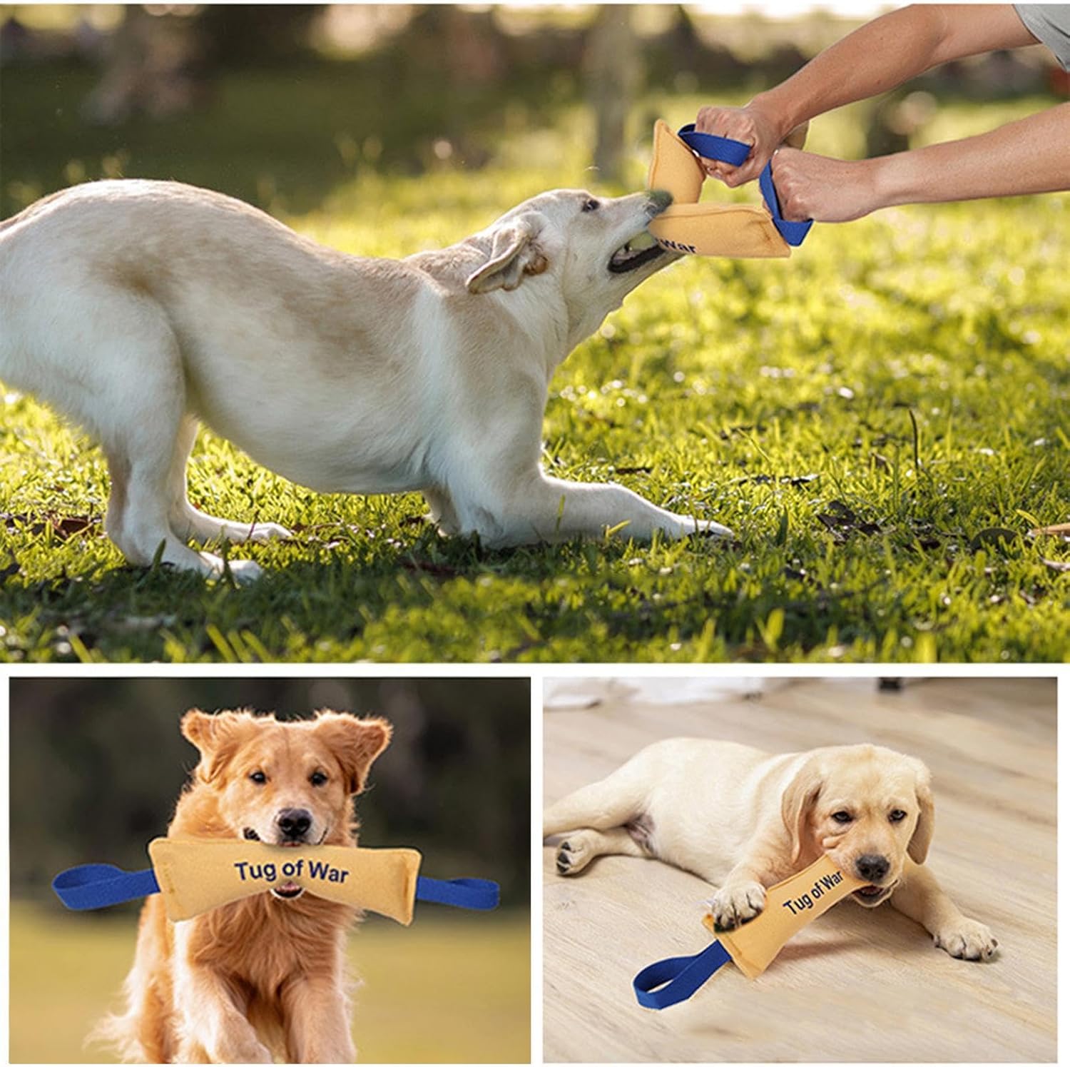 Bite Resistant Dog Toys - Heavy Duty Training Toys with Bite Resistance - Dog Tug Toys - Highly Efficient and Durable Training Aids - Yellow - One - Image 4