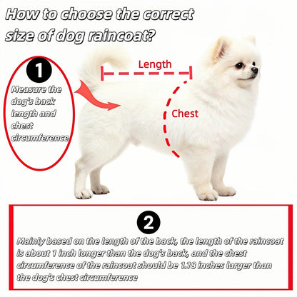 Dog Raincoat - Dog Raincoat - Waterproof Dog Coat - Transparent Rain Poncho - Dog Clothing - Rain Suit - Hooded Jacket - Dog Accessories - Walking Supplies - Dog Supplies - Outdoor Pet - Transparent - 1 Piece - Image 4