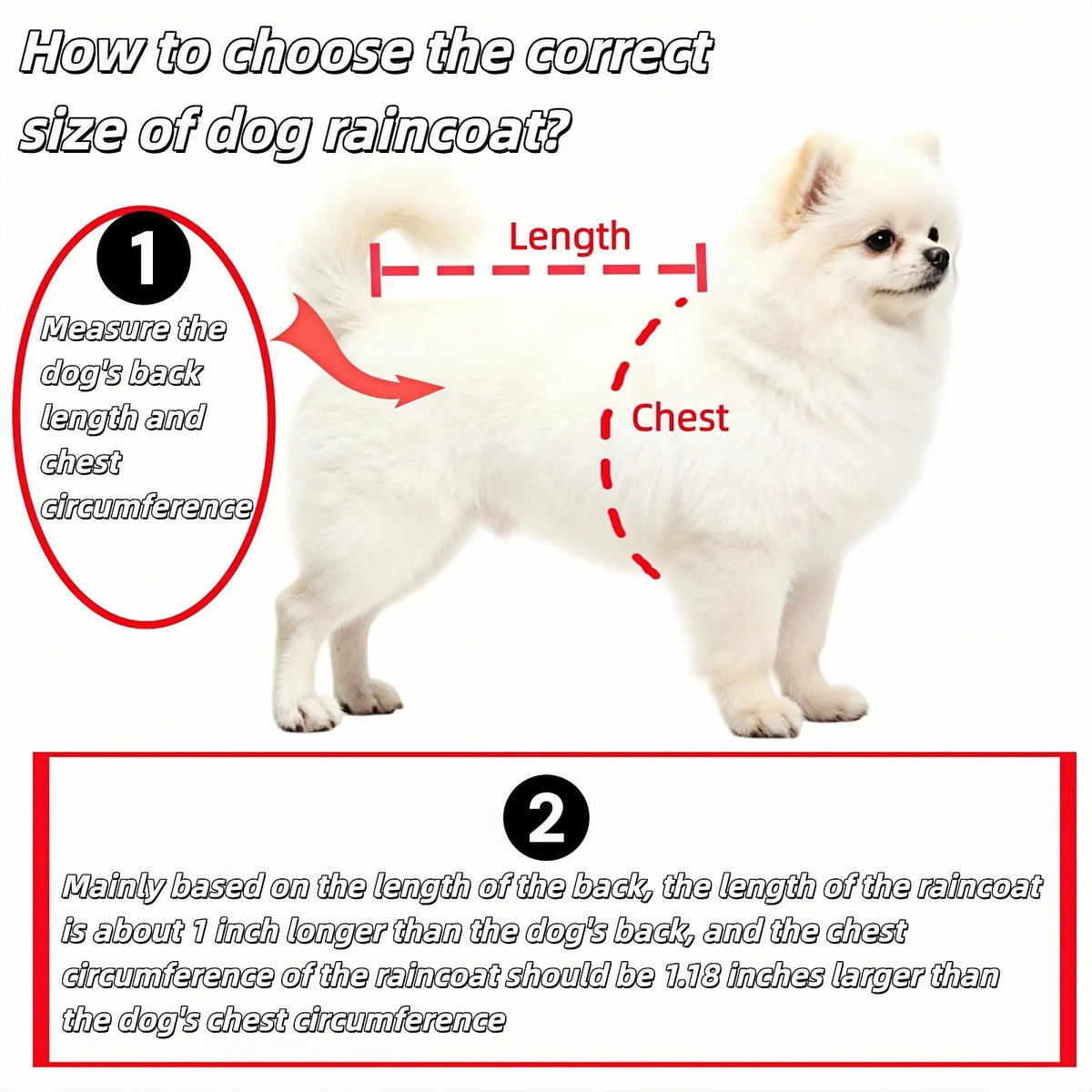 Waterproof Dog Raincoat with Hood, Transparent Lightweight Pet Rain Poncho for Walks, Wet Weather and Outdoor Use, Transparent - Image 4