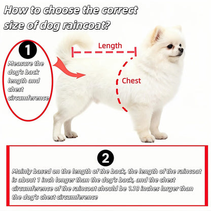 Waterproof Dog Raincoat with Hood, Transparent Lightweight Pet Rain Poncho for Walks, Wet Weather and Outdoor Use, Transparent - Image 4