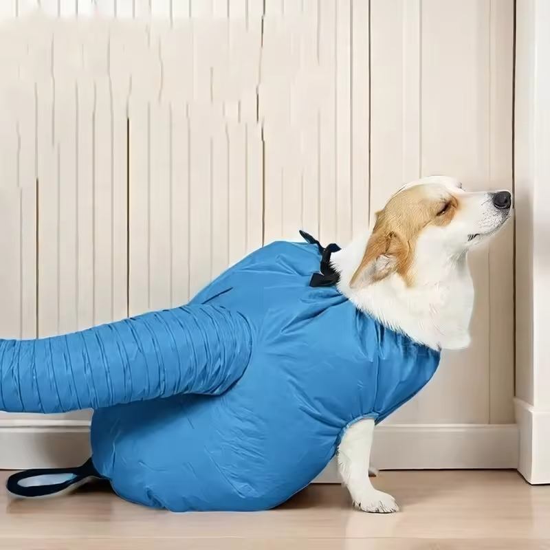 Dog Hair Dryer - Dog Drying Bag - Dog Water Blower - Dog Bathrobe - Dog Hair Dryer - Coat Care - Dog Towel - Animal Supplies - Grooming Salon - Bellows - Dog Hair Dryer - Quick-Drying Size M - Blue - 1 Piece - Image 6