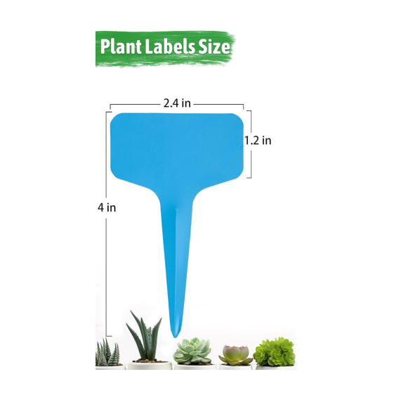 Plant labels - Plant plugs - Plant labels - Plant signs - Garden labels - Vegetable garden - Plugs - Sowing labels - Herb plugs - Growing labels - Plant labels - Name tags - Writing boards - T-labels - 6x10 cm - Multicoloured - 200 pieces - Image 2