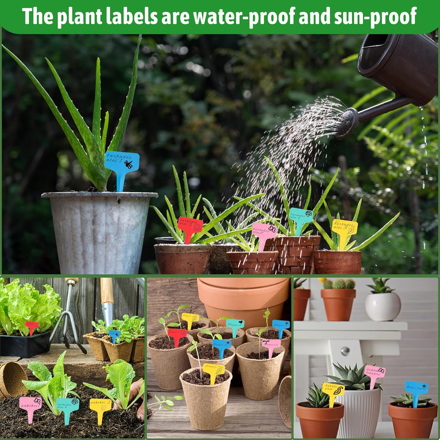 Plant labels - Plant plugs - Plant labels - Plant signs - Garden labels - Vegetable garden - Plugs - Sowing labels - Herb plugs - Growing labels - Plant labels - Name tags - Writing boards - T-labels - 6x10 cm - Multicoloured - 200 pieces - Image 5