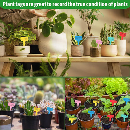 Plant labels - Plant plugs - Plant labels - Plant signs - Garden labels - Vegetable garden - Plugs - Sowing labels - Herb plugs - Growing labels - Plant labels - Name tags - Writing boards - T-labels - 6x10 cm - Multicoloured - 200 pieces - Image 6