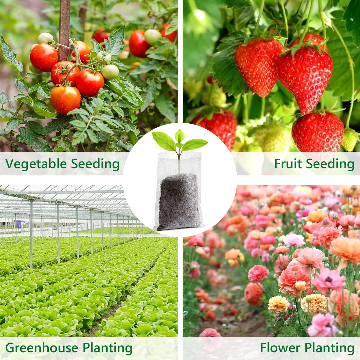 Grow Bags - Gardening - Grow Pots - Vegetable Garden - Seedlings - Plant Bags - Non-woven Grow Bags - Growing Set - Breathable Fleece - Vegetable Garden Box - Growing Box - Sowing - Cuttings - Plant Bags - Vegetable Garden - Vegetable Gardening - Sustaina - Image 7