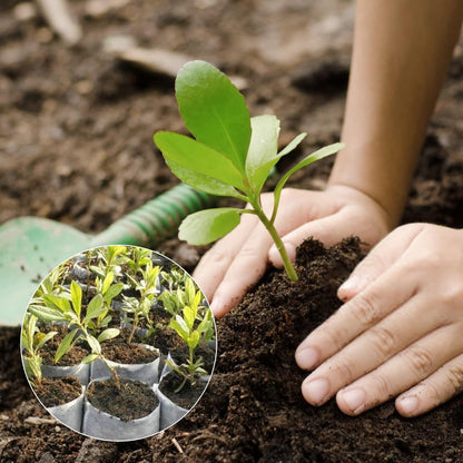 Grow Bags - Gardening - Grow Pots - Vegetable Garden - Seedlings - Plant Bags - Non-woven Grow Bags - Growing Set - Breathable Fleece - Plant Pots - Garden - Sowing - Cuttings - Vegetables - Fruit - Plant Bag - Vegetable Gardening - Sustainable - White -  - Image 7