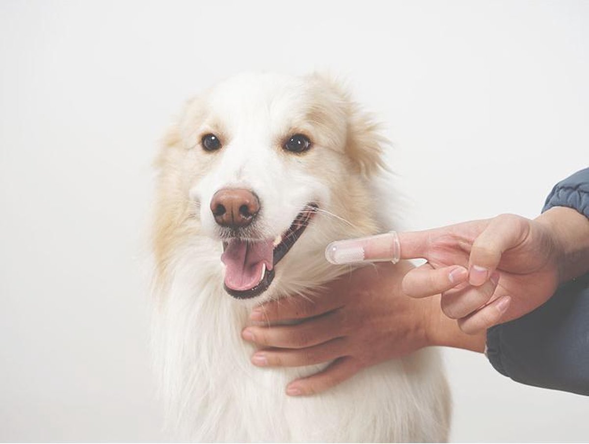 Finger Toothbrush – 2 x - Image 7