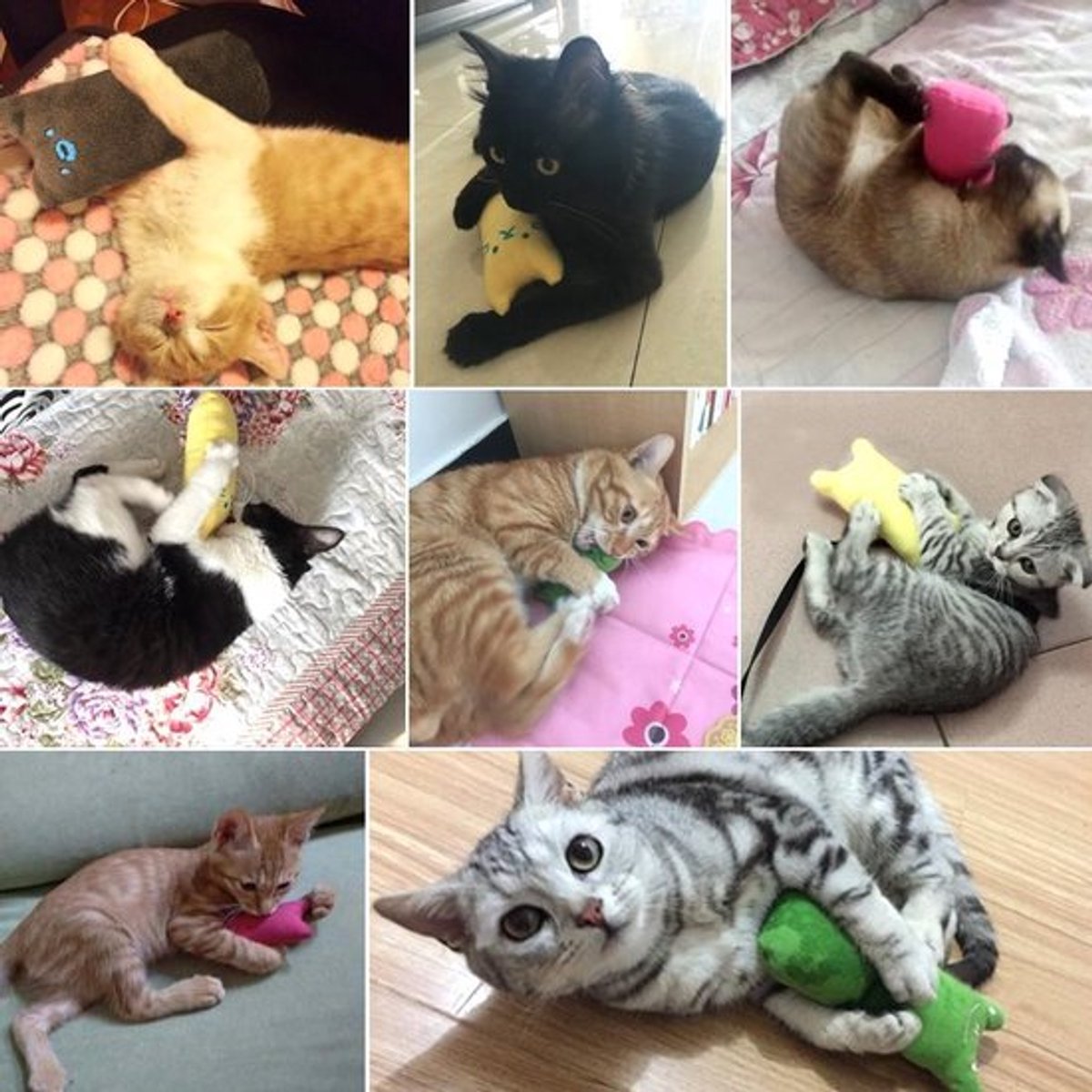 Catnip Plush Toy | Cat Toys | Catnip | Cat Toys | BLUE - Image 5