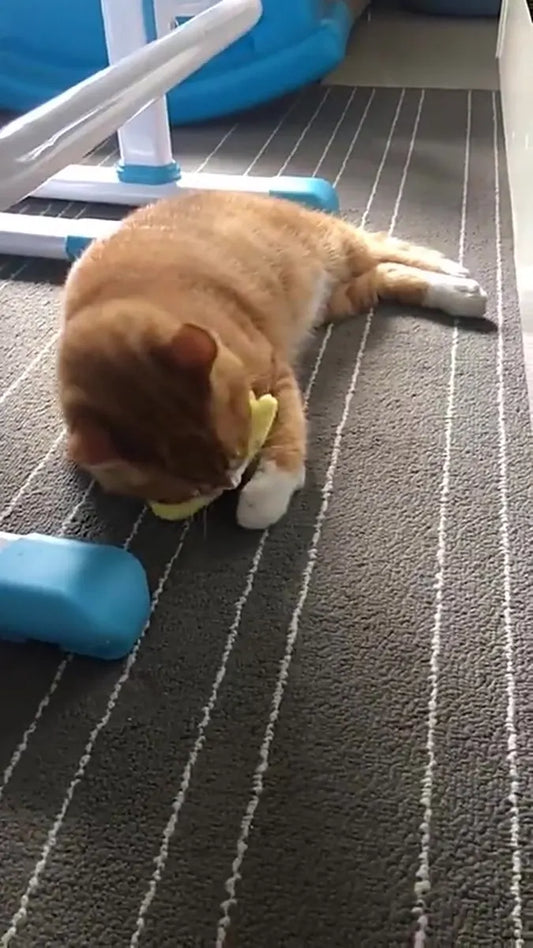Catnip Plush Toy | Cat Toys | Catnip | Cat Toys | BROWN - Image 2