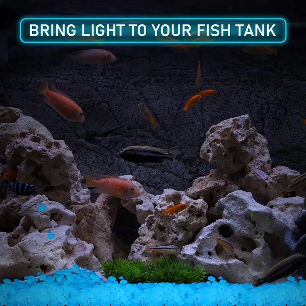 100x! Glow In The Dark Stones | Decorative Stones | Aquarium Pebbles | Garden Stones | Blue - Image 2