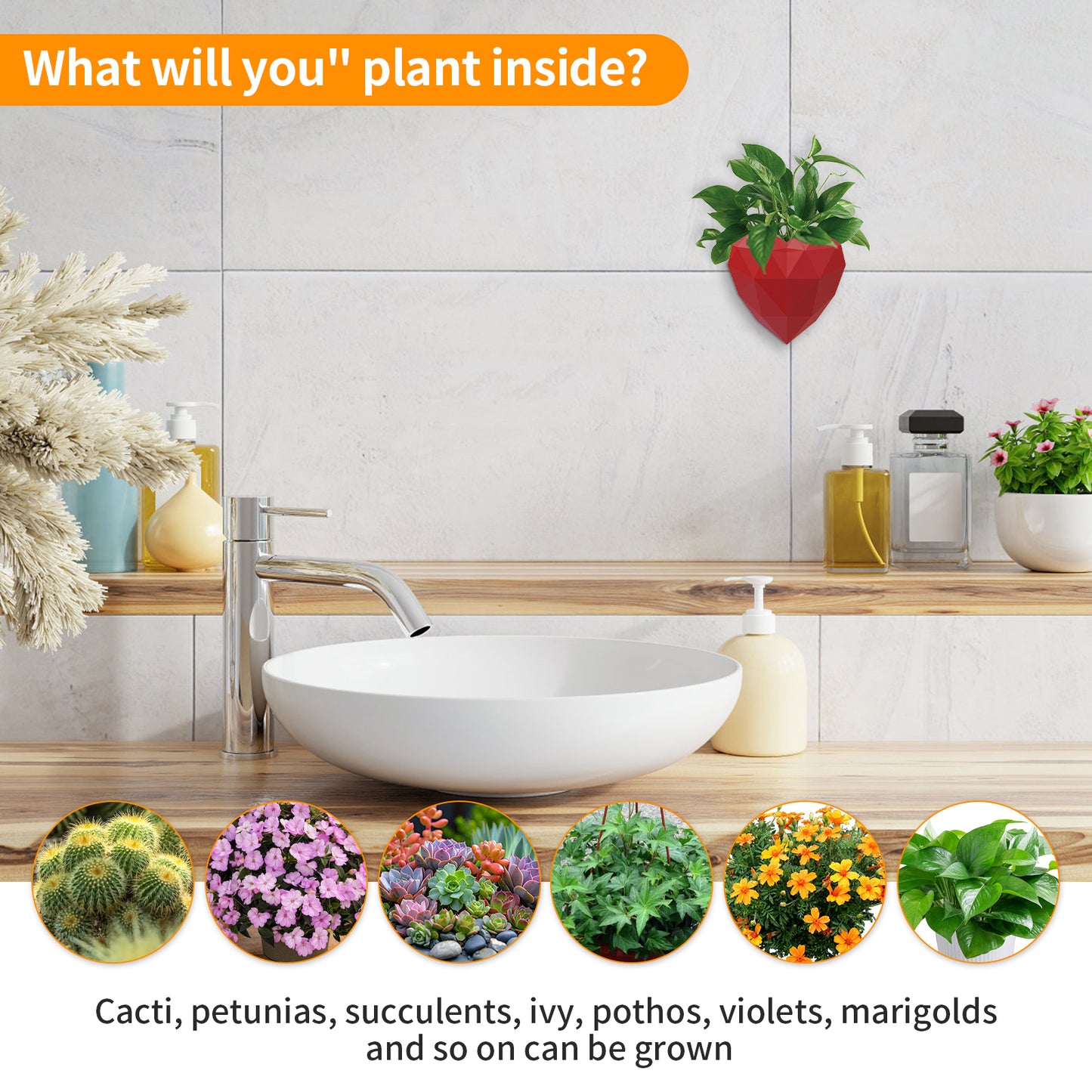 Wall Mounted Planter - NO DRILLING,Houseplant Wall Display Ideas,3D Printed Wall Planter with Drainage Tray - Image 5
