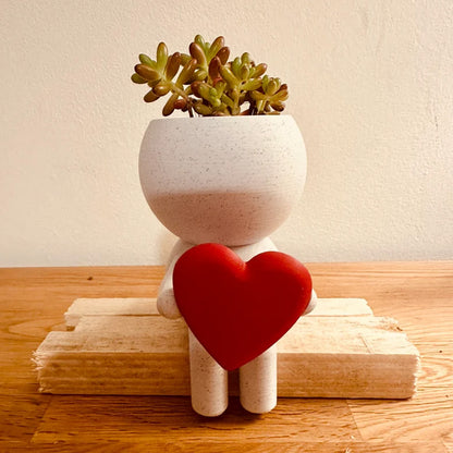 Home Decor Succulent Air Planter Stand,Air Plant holder, Air Plant Lover Gift  Desk Decor - Image 2