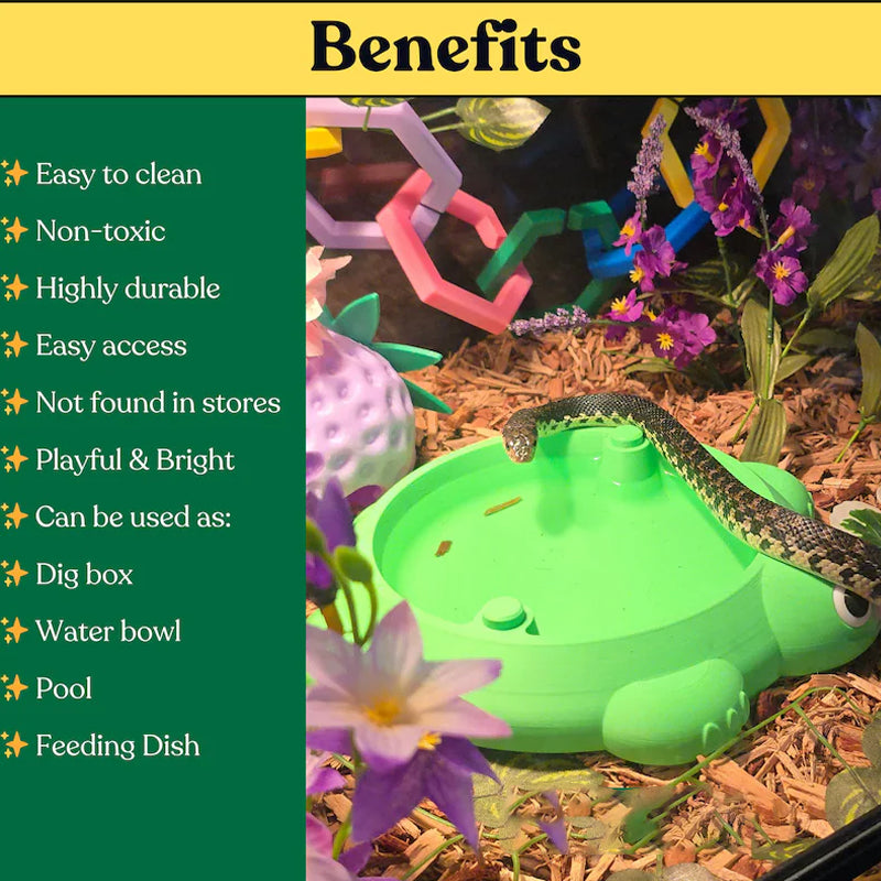Mini Turtle Sandbox Desk Toy with  Small Tools, Mini Zen Garden Fidget Stress Relief Toys for Adults and Kids, Desktop Decor Accessories for Home and Office - Image 2