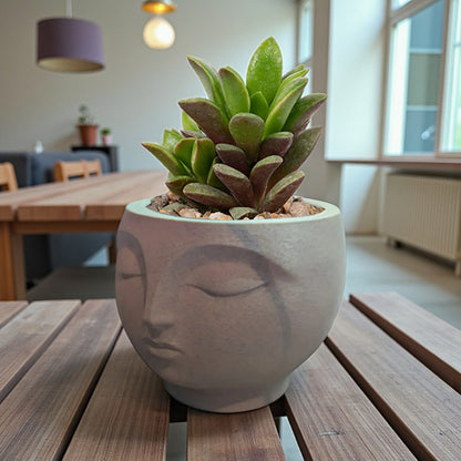 A 3D-printed, serene flowerpot, an eye-catching decorative piece for modern interior spaces. Suitable for planting small plants or succulents. - Image 4