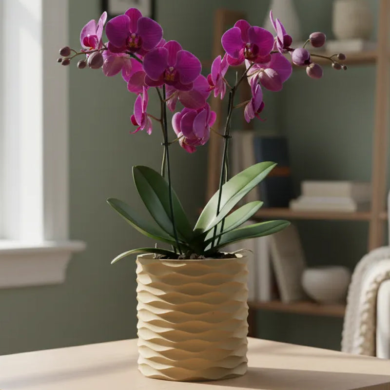3D Printed Modern Wave Flower Pot - Water-Storing Rotating Base, Flesh Color, Single Piece - Image 3