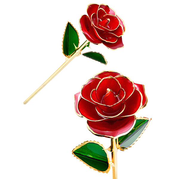 24K Gold Plated Rose, Dried Flower Kit with Gift Box and Display Stand, Rose Red - Image 5