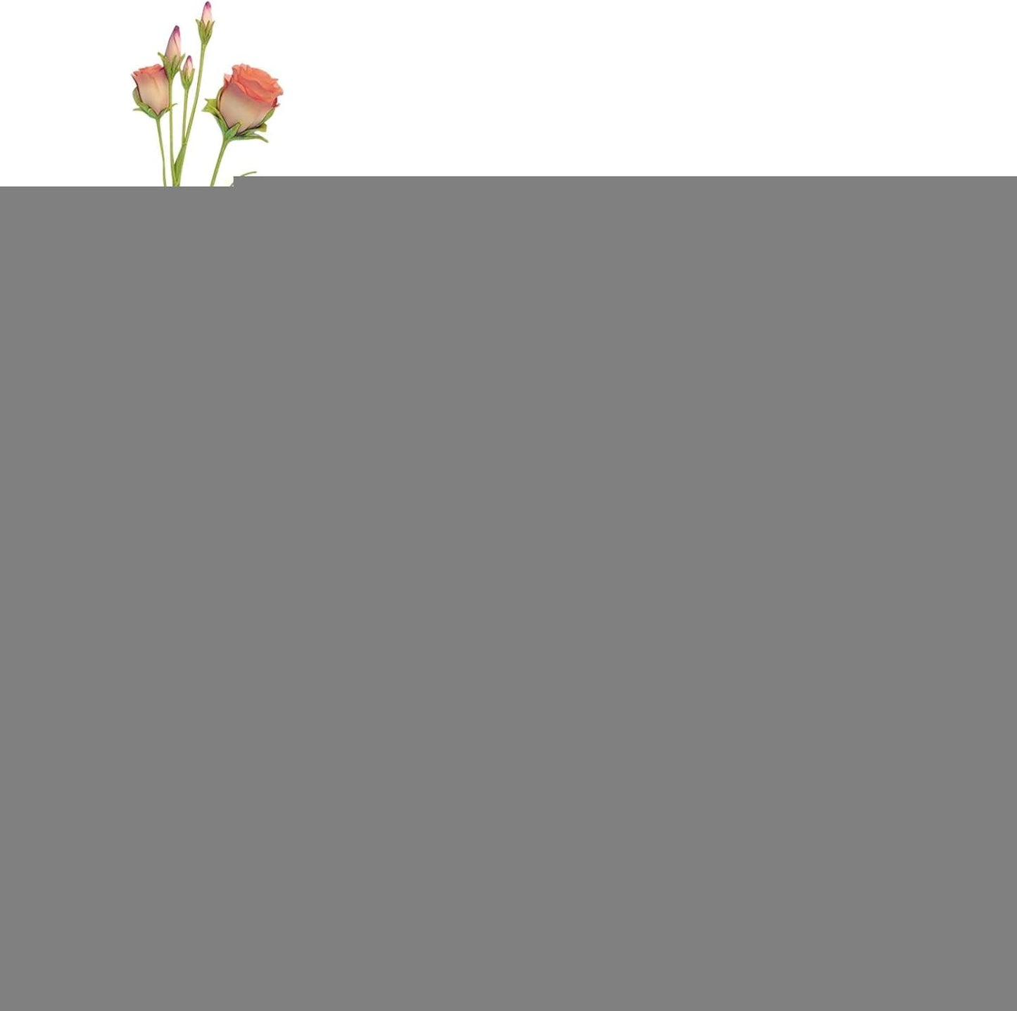 Oasis Floral Foam Block, Wet and Dry Foam for Artificial Flower Arrangements, Wedding Accessories - Image 4