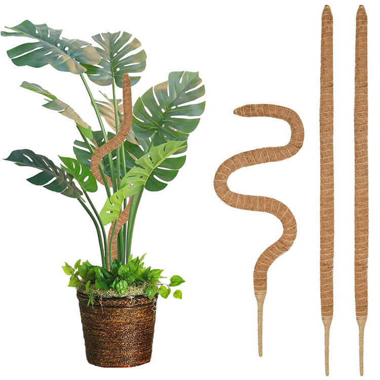 pcs Monstera moss rods for indoor plants, bendable plant holder - Image 3