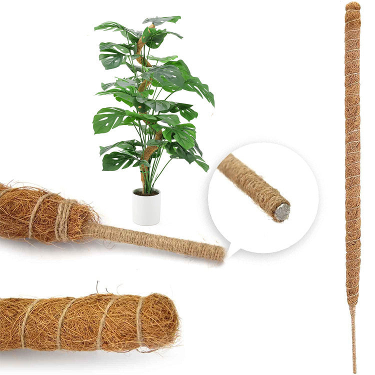 pcs Monstera moss rods for indoor plants, bendable plant holder - Image 4