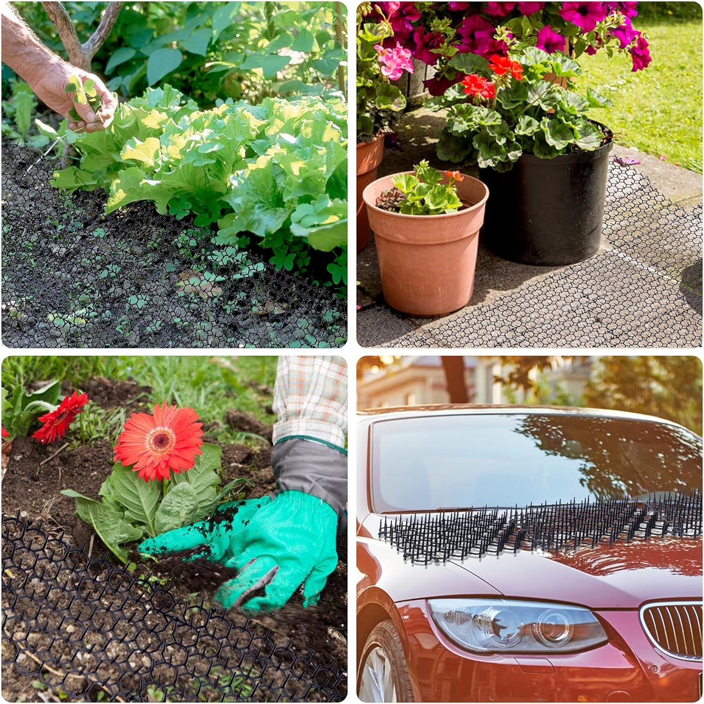 12 pcs 15 cm x 20 cm Spike Mat, Cat Scare with Spikes, Dog Mat, Plastic Net for Animals - Image 4