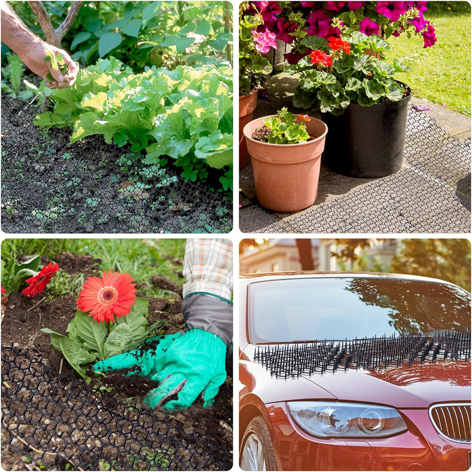 12 pcs 15 cm x 20 cm Spike Mat, Cat Scare with Spikes, Dog Mat, Plastic Net for Animals - Image 4