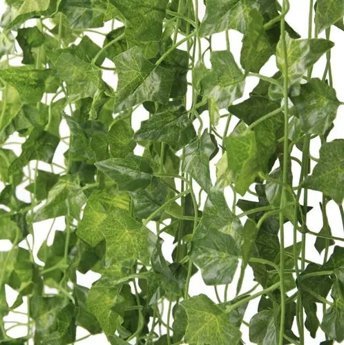 25 meters Ivy garland / Leaf garland - 2 m long Green - Image 4