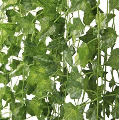 25 meters Ivy garland / Leaf garland - 2 m long Green - Image 4
