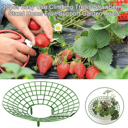 10 pcs Strawberry Plant Support Cages Climbing Rack Strawberry Rack Frame Holder Balcony Planting Rack Fruit Support Garden - Image 2