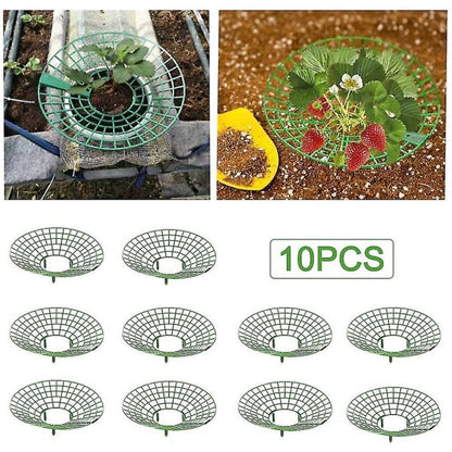 10 pcs Strawberry Plant Support Cages Climbing Rack Strawberry Rack Frame Holder Balcony Planting Rack Fruit Support Garden - Image 3