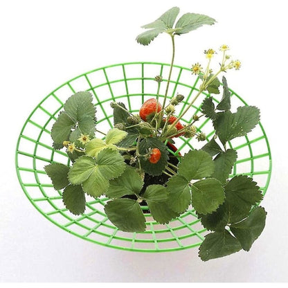 10 pcs Strawberry Plant Support Cages Climbing Rack Strawberry Rack Frame Holder Balcony Planting Rack Fruit Support Garden - Image 4