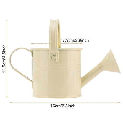 100% New, Mini Iron Watering Can, Spray Bottle, Metal Forging with Handle, Sprinkler Shower Pink - Image 2